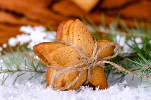 Can Dogs Eat Ginger Snaps How To Make Dog Friendly Treats Best Tips 